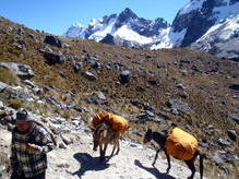 Salkantay Trek