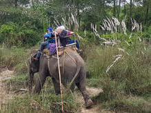 Chitwan Nationalpark - Elefantensafari