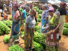 Farbenfroher Bananen-Markt in Mamba