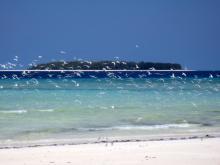 Traumstrand an der Nordostküste Zanzibars