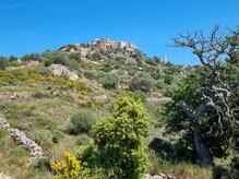 Sant'Antonino - angeblich ältestes korsisches Dorf, als Trutzburg gebaut