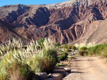 Trekking von Rio Grande (3000m) nach Machuca (3800m), Chile