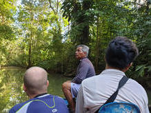 Bootstour in den Dschungel-Kanälen des Tortuguero Nationalparkes