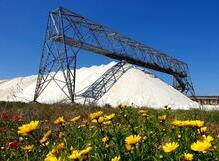 Saline di Margherita di Savoia, grösste Salinen Europas