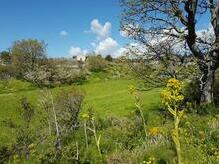 Kulturlandschaft im Gargano Nationalpark