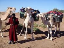 Erste Begegnung mit unseren Nomaden und Dromedaren in der marokkanischen Sahara