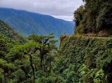 Carretera de la Muerte in den Yungas