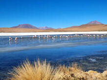 Laguna Cañapa