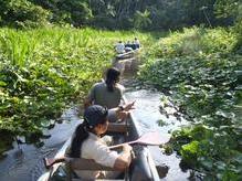 Amazonas Regenwald, Yasuni Nationalpark