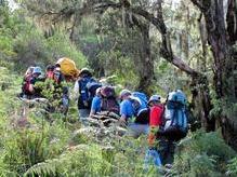 Unsere Gruppe im märchenhaften Bergregenwald am Mt. Meru