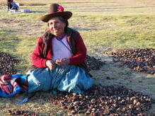 Einheimische mit Gefrierkartoffeln (Chuños) in Chinchero