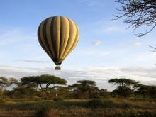 Morgenstimmung in der zentralen Serengeti