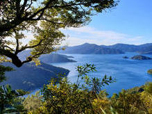 Hiking und Biking mit wunderschönen Ausblicken auf die Marlborough Sounds