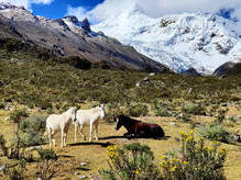 Trekking im Ishinca-Tal - Huascarán Nationalpark