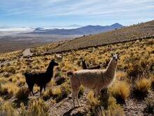 erste Blicke auf den Salar de Uyuni 