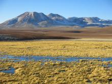 Auf der Fahrt nach El Tatio, Chile