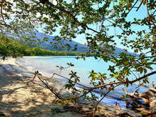 Cape Tribulation, einziger Ort der Welt, an dem zwei Unesco-Weltnaturerbe (Regenwald und Barrier Reef) aneinander grenzen