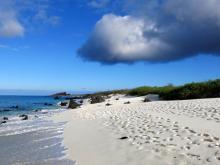 Osborne Beach - Bahía Gardner, Española