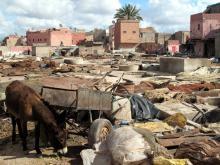 Gerberei in Marrakesch