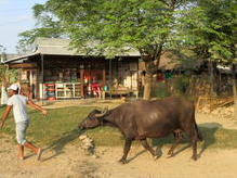 Tharu-Siedlung in der Nähe des Chitwan Nationalparks