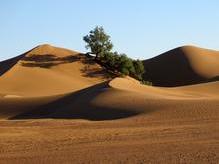 Licht und Schatten, Formen und Farben der Sahara