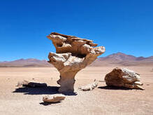 Arbol de Piedra in der Siloliwüste