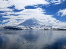 Lago Chungara (4500 m) mit Parinacota (6342 m), Chile 