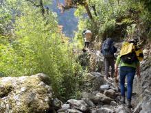 Bambus am Trekkingweg nach Koto