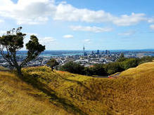 Sicht vom Mt. Eden, dem höchsten Vulkan Auckland's (196 m) auf die Skyline - nördliche Nordinsel Neuseeland