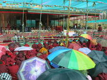 Kalachakra 2014 in Leh/Choglamsar