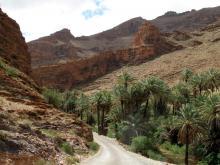 Ait Mansour Schlucht südlich von Tafraoute