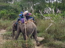 Elefantensafari im Chitwan Nationalpark