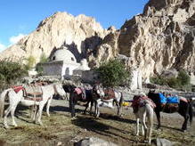 Unsere Tragtiere in Skyu im Markha Valley