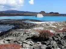 Galapagos Kreuzfahrt, FreitagTravel