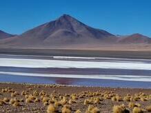 Laguna Colorada