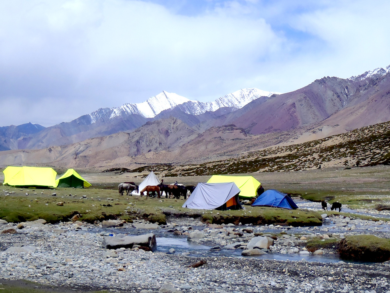 Nimaling Hochebene, Markha Valley - Ladakh Nimaling Hochebene, Markha Valley - Ladakh
